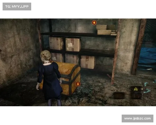 极限生存战术解析 生化危机启示录中的策略与生存技巧全攻略